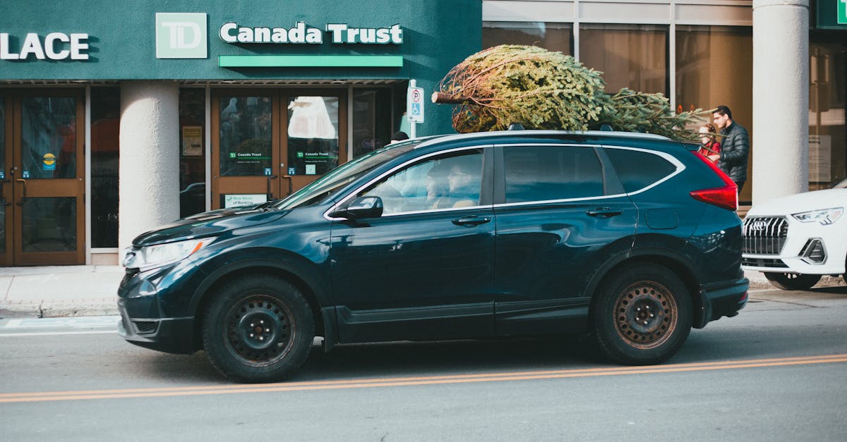 banking sector illustration