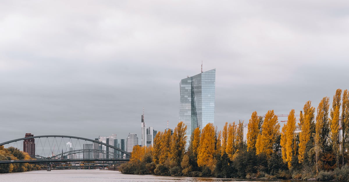 banking sector illustration