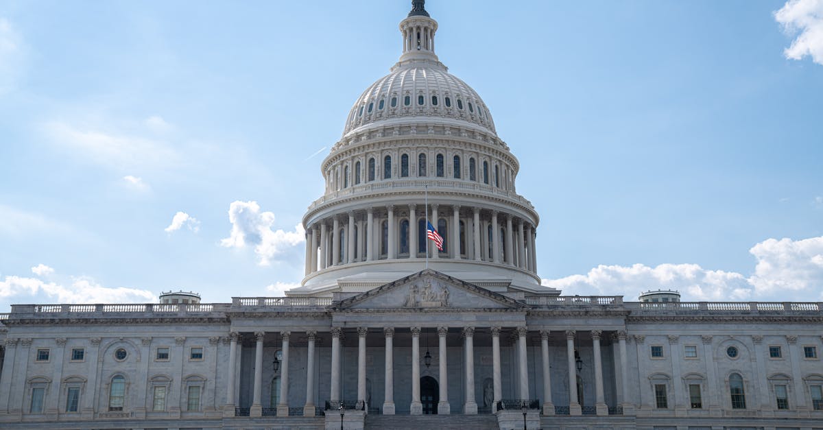 fiscal policy illustration