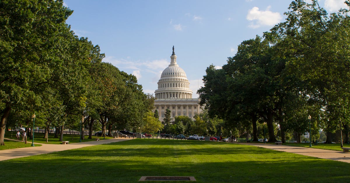 fiscal policy illustration