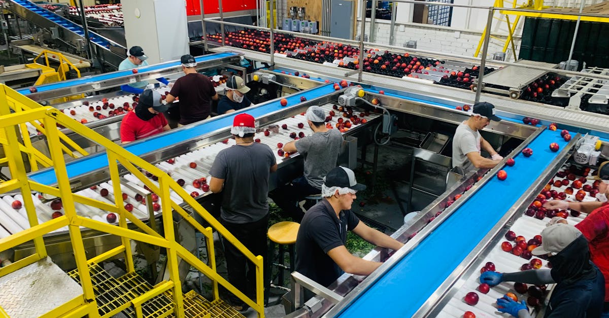 productivity illustration