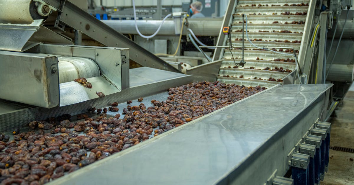 productivity illustration