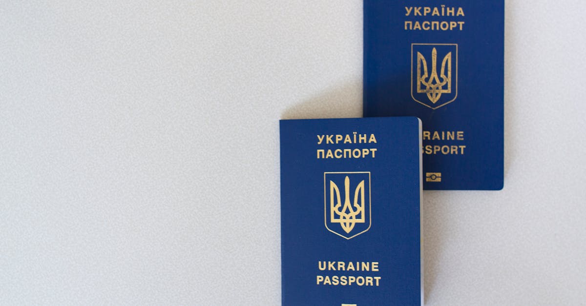 public debt illustration