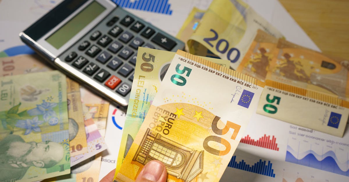 public debt illustration