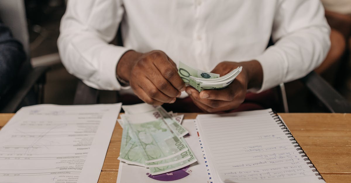 public debt illustration