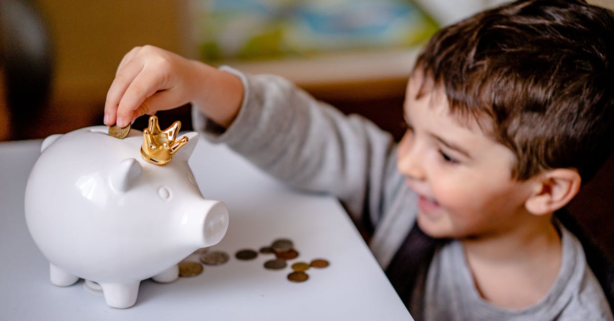 savings rate illustration