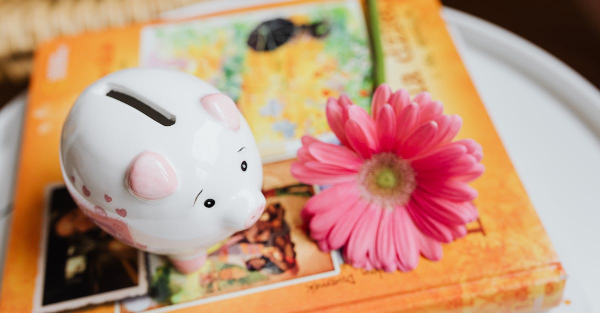 savings rate illustration